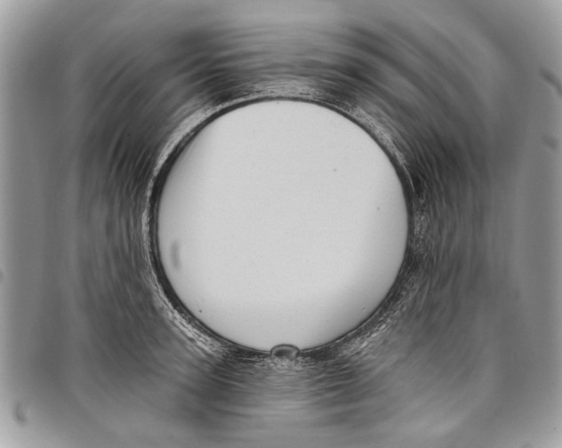 X0000097770947200803281637