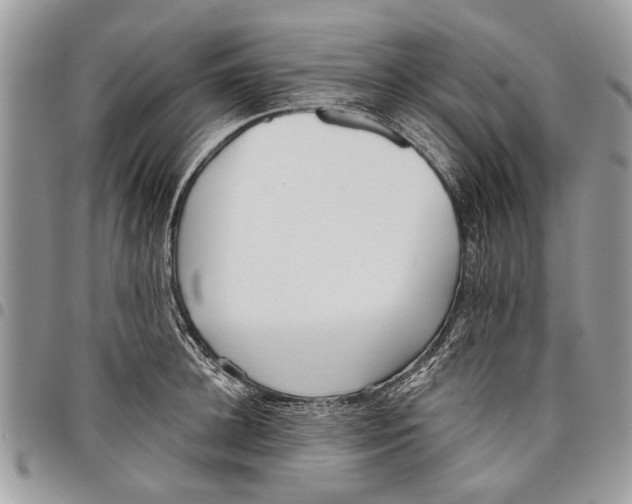 X0000097770948200803281637