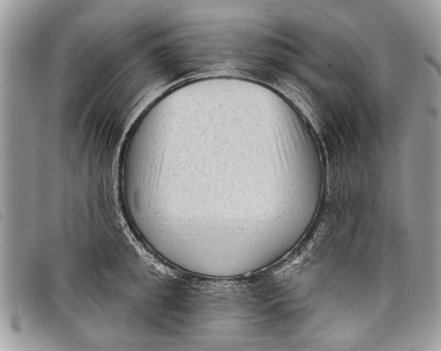 X0000097770949200803281637