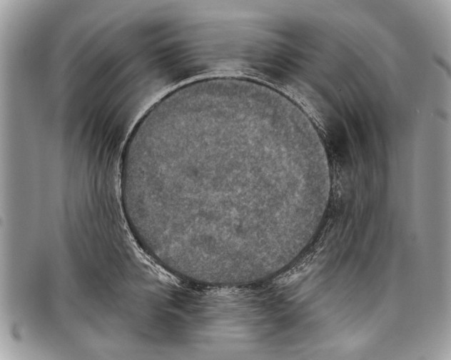 X0000097770950200803281637