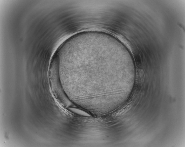 X0000097770951200803281637