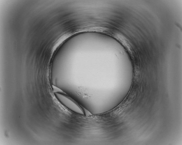 X0000097770952200803281637