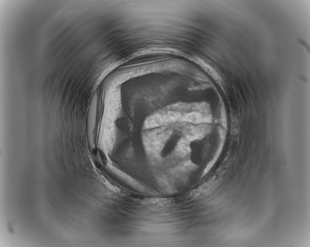 X0000097770953200803281637