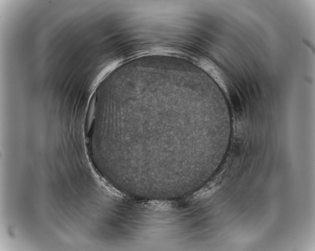 X0000097770954200803281637