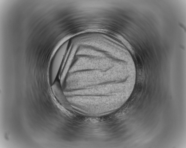 X0000097770955200803281637