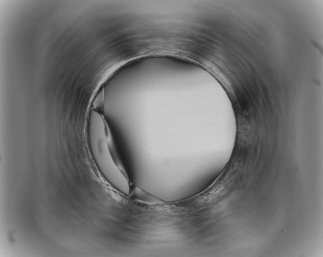 X0000097770956200803281637