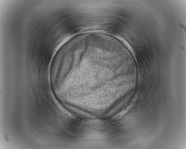 X0000097770957200803281637