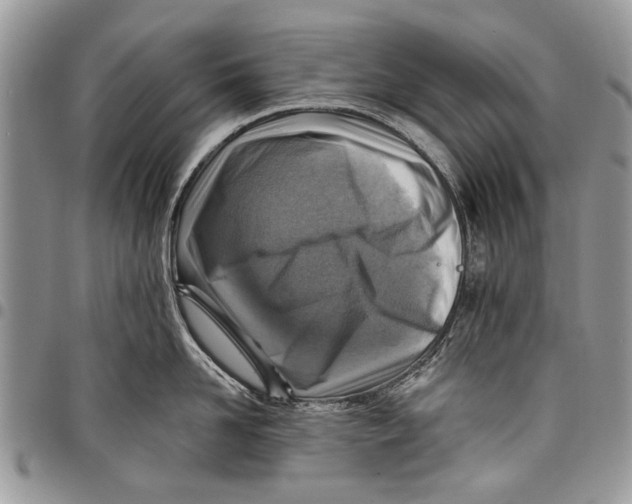 X0000097770958200803281637