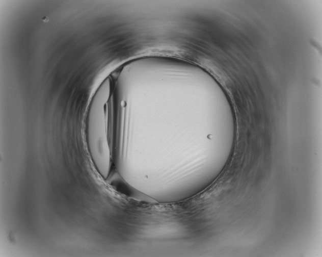 X0000097770960200803281637