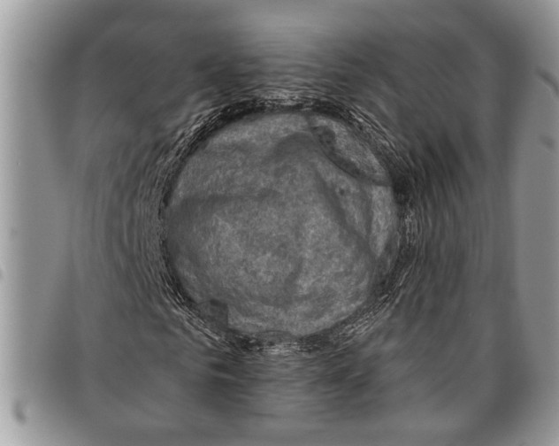 X0000097770961200803281636