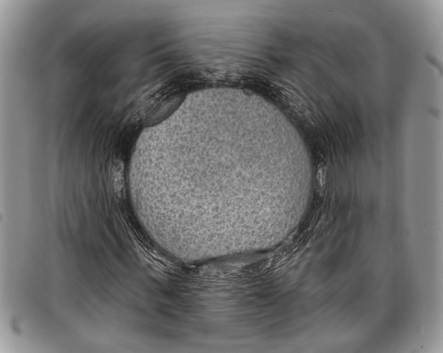 X0000097770963200803281636