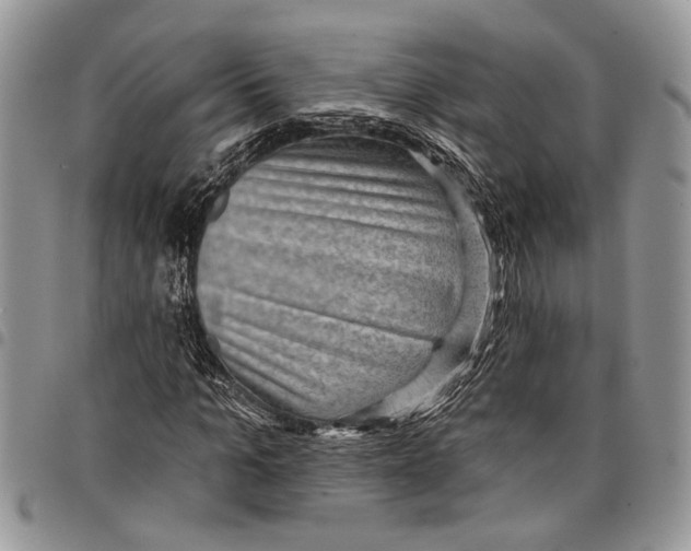 X0000097770965200803281636