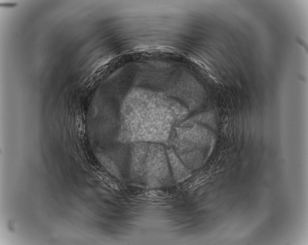 X0000097770966200803281636