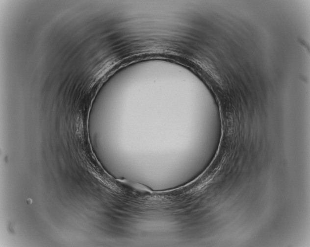 X0000097770969200803281636