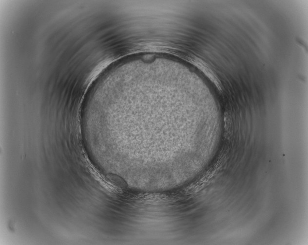 X0000097770972200803281636