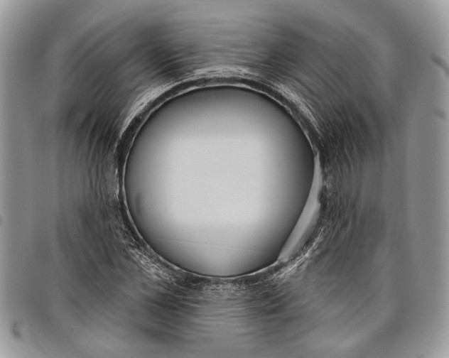 X0000097770973200803281636