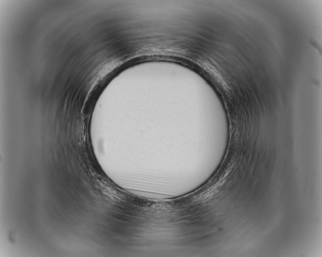 X0000097770974200803281636