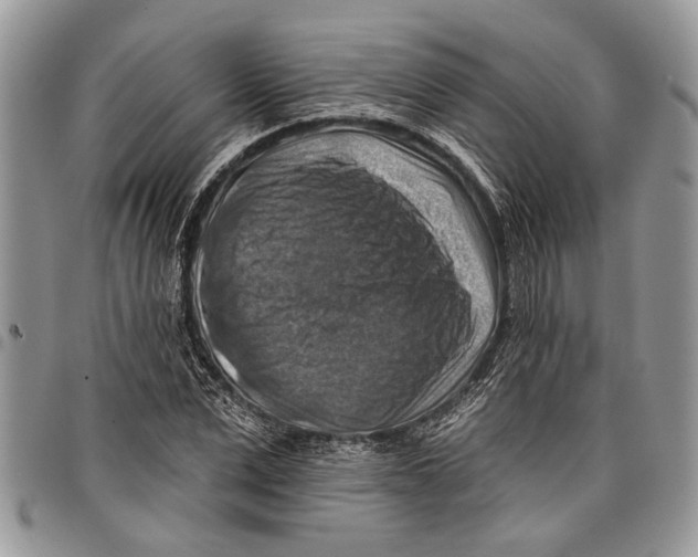 X0000097770975200803281636