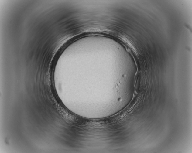 X0000097770976200803281636