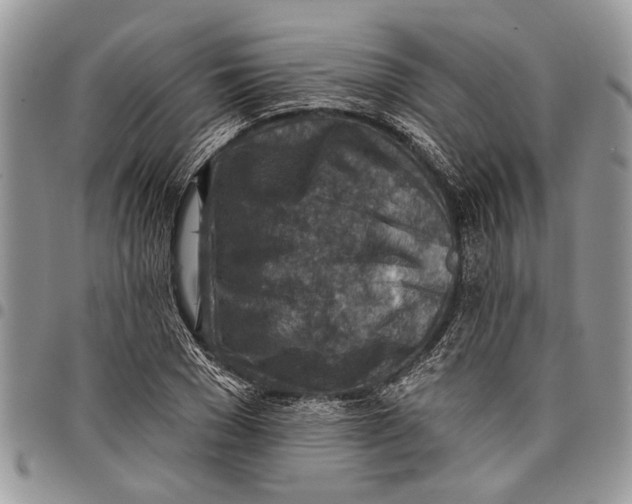 X0000097770977200803281636