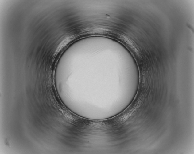 X0000097770978200803281636