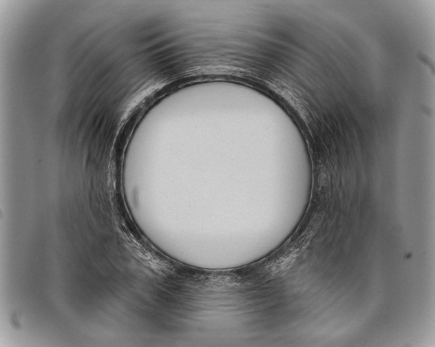 X0000097770979200803281636