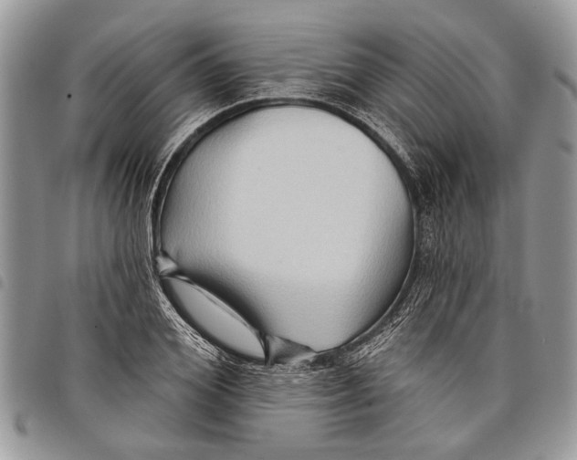 X0000097770980200803281636