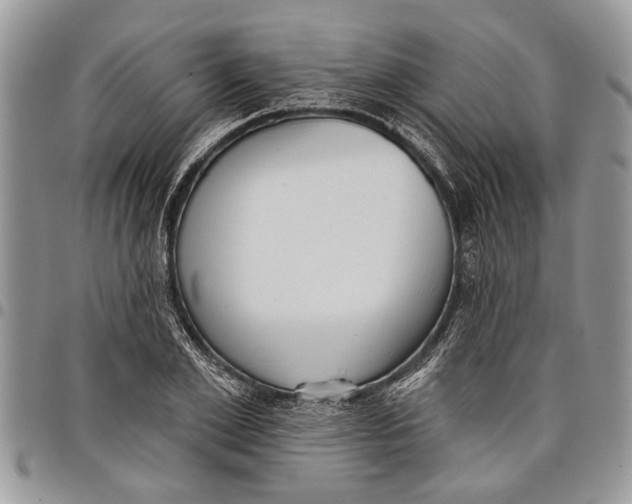 X0000097770981200803281636