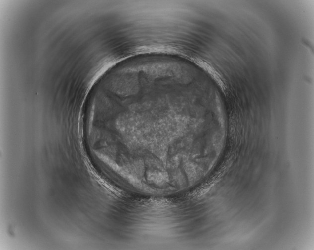 X0000097770983200803281636