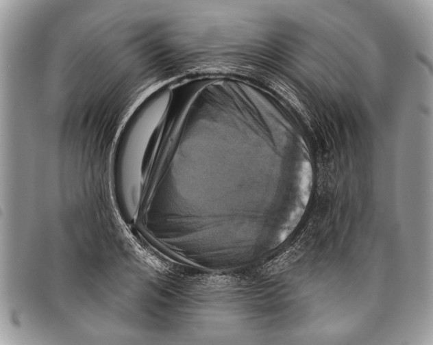 X0000097770984200803281636