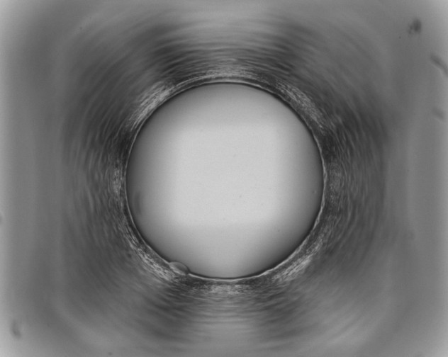 X0000097770985200803281636