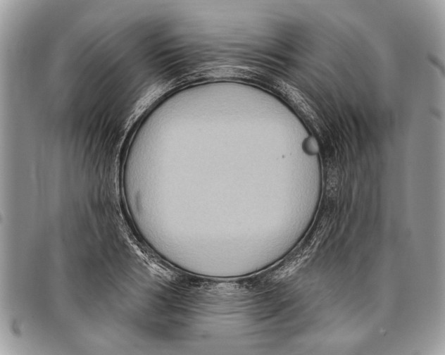 X0000097770986200803281636