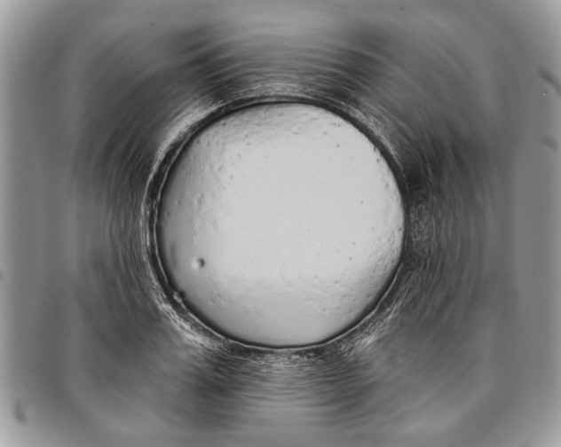 X0000097770987200803281636