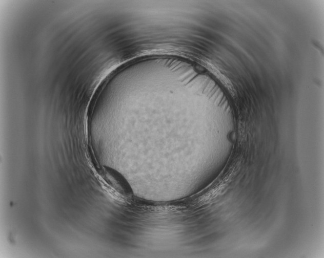 X0000097770988200803281636