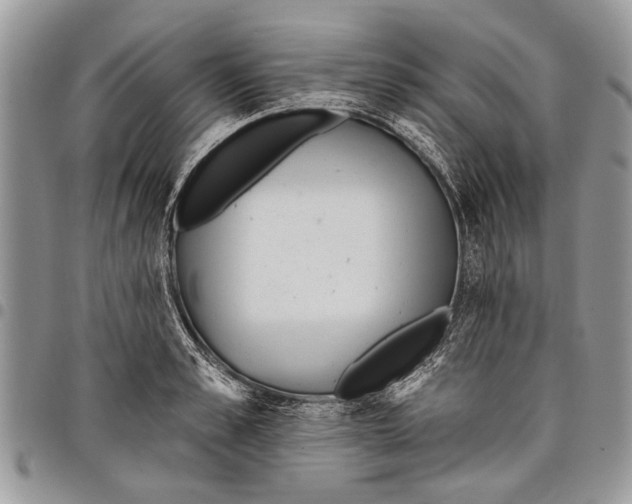 X0000097770989200803281636