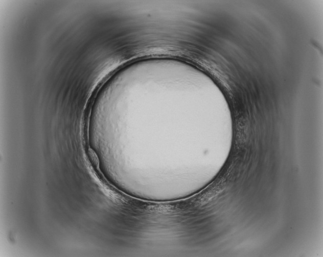 X0000097770991200803281636