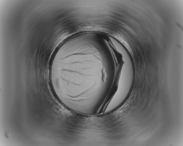 X0000097770992200803281636