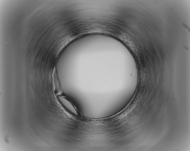 X0000097770993200803281636