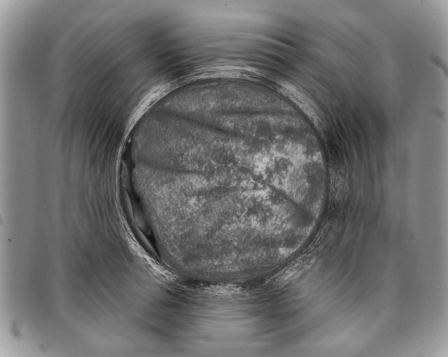 X0000097770994200803281636