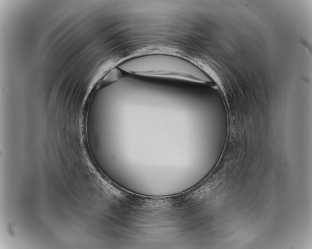 X0000097770997200803281636