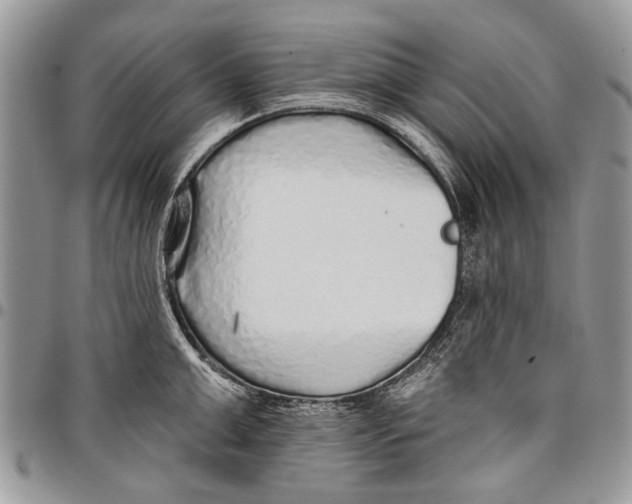 X0000097770999200803281636