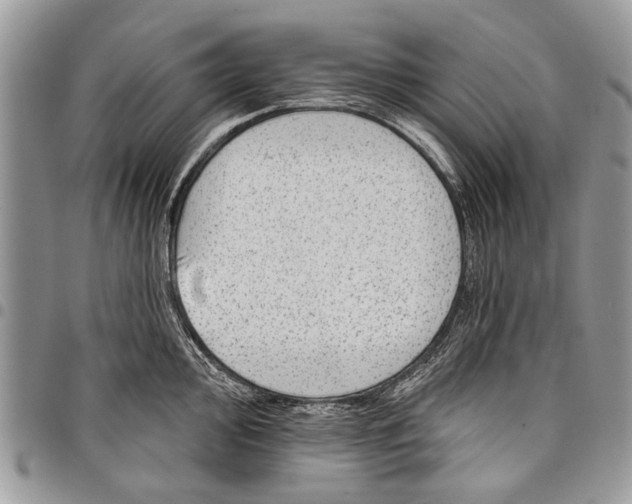 X0000097771000200803281636