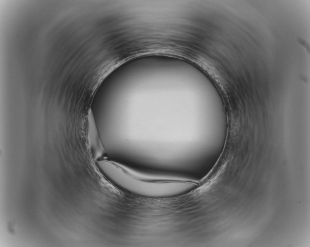 X0000097771001200803281636