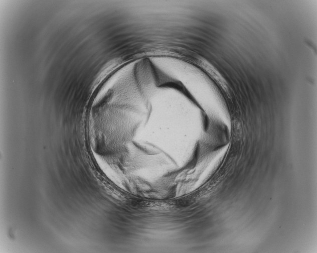 X0000097771002200803281636