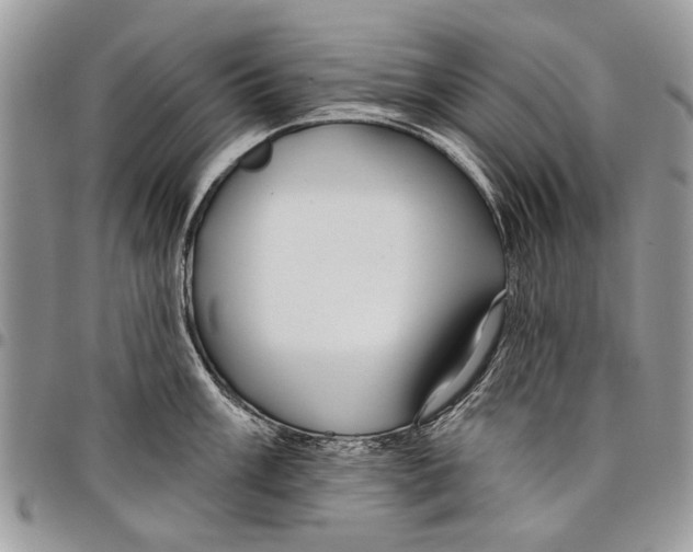 X0000097771003200803281636