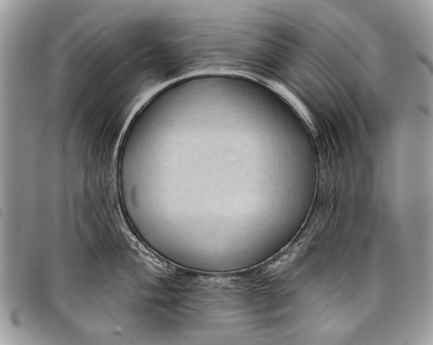 X0000097771004200803281636