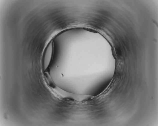 X0000097771005200803281636