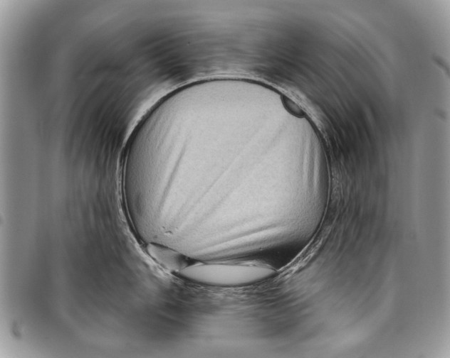 X0000097771006200803281636