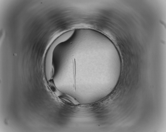 X0000097771008200803281636