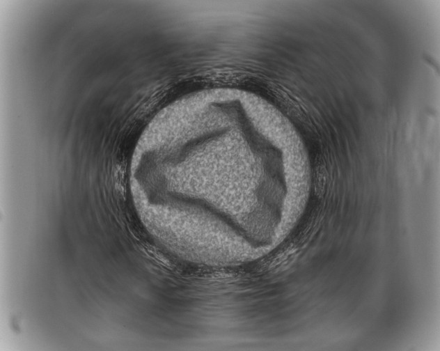 X0000097771010200803281635